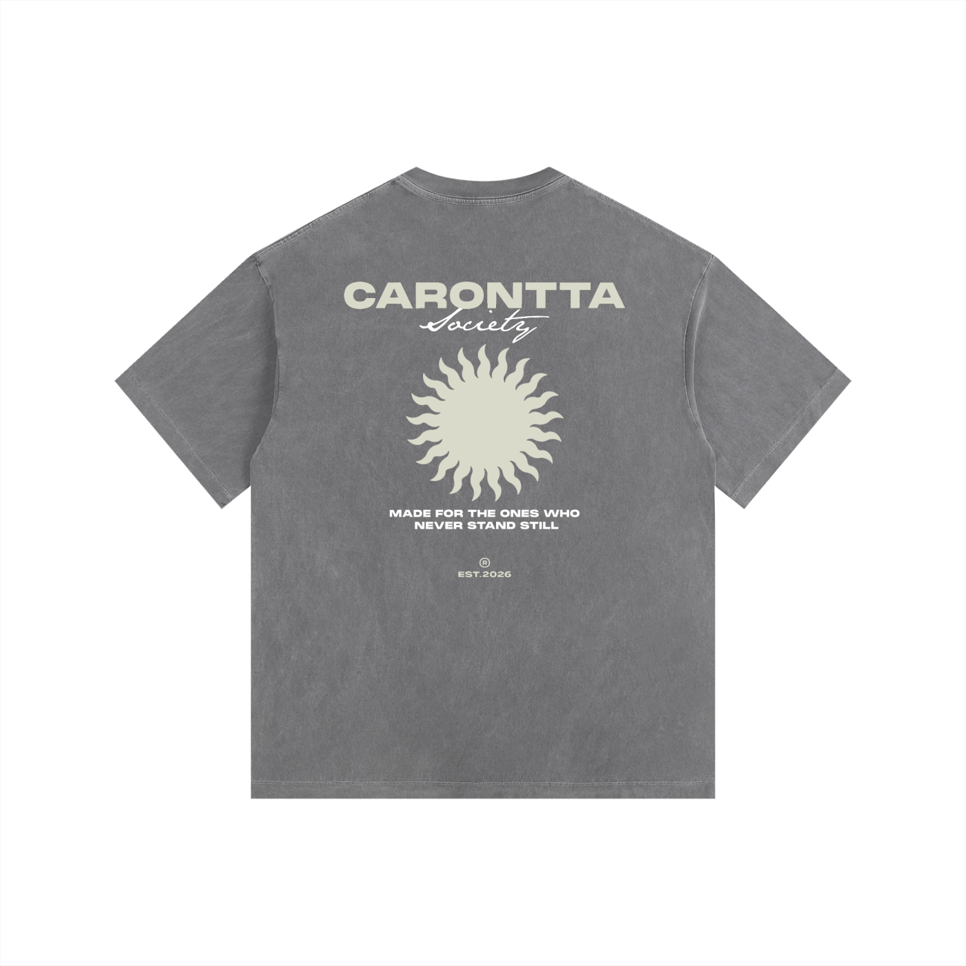 SOCIETY T-SHIRT GRAY