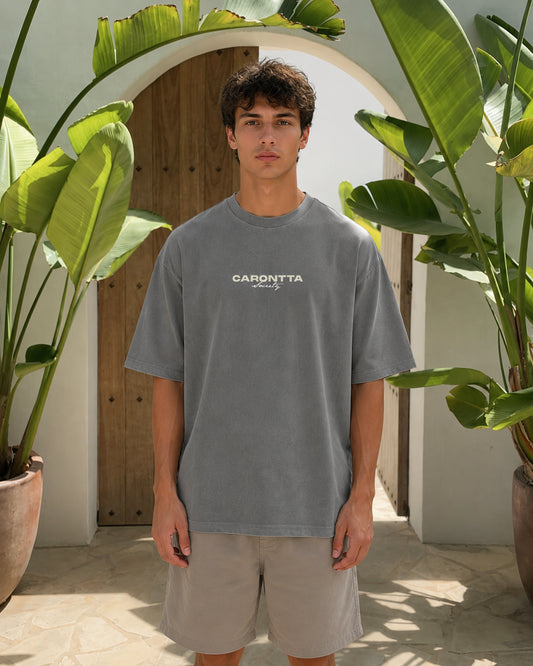 SOCIETY T-SHIRT GRAY