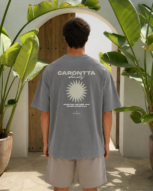 SOCIETY T-SHIRT GRAY