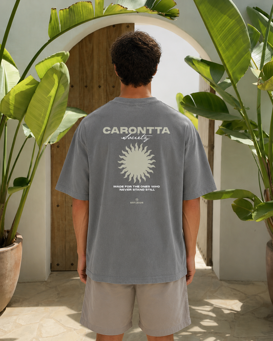 SOCIETY T-SHIRT GRAY